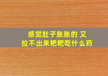 感觉肚子胀胀的 又拉不出来粑粑吃什么药